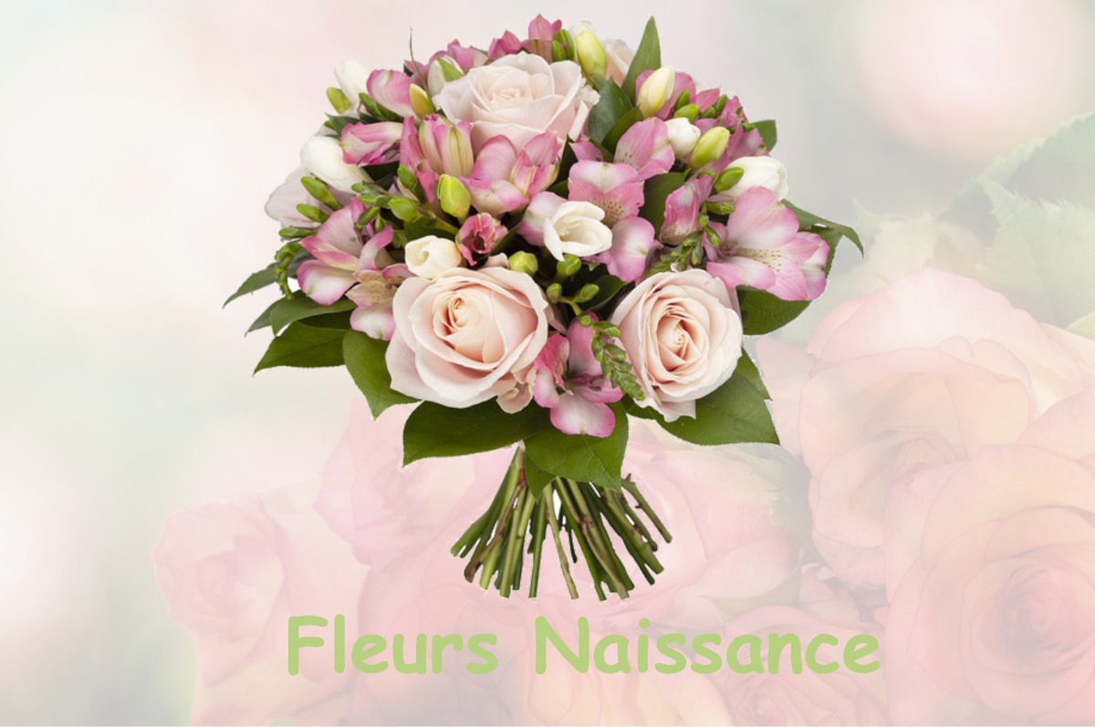 fleurs naissance LA-CHAUX-DU-DOMBIEF