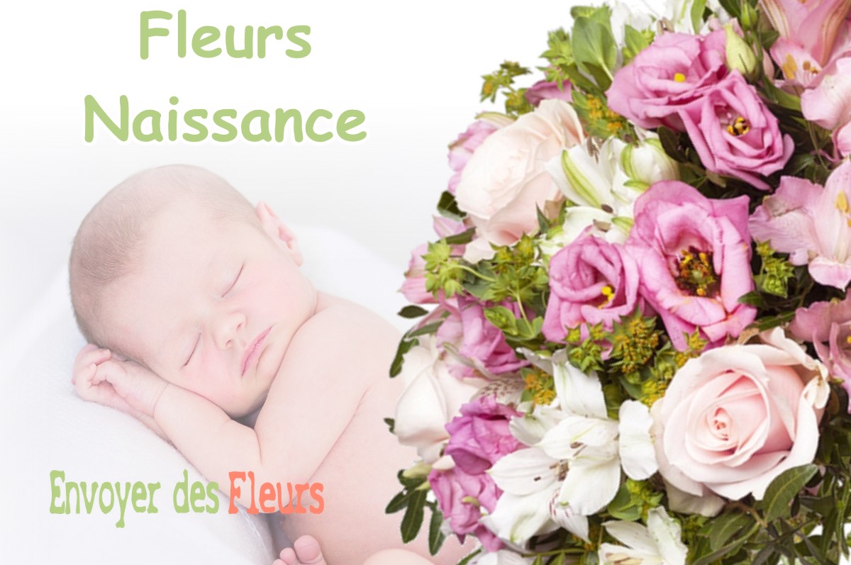 lIVRAISON FLEURS NAISSANCE à LA-CHAUX-DU-DOMBIEF